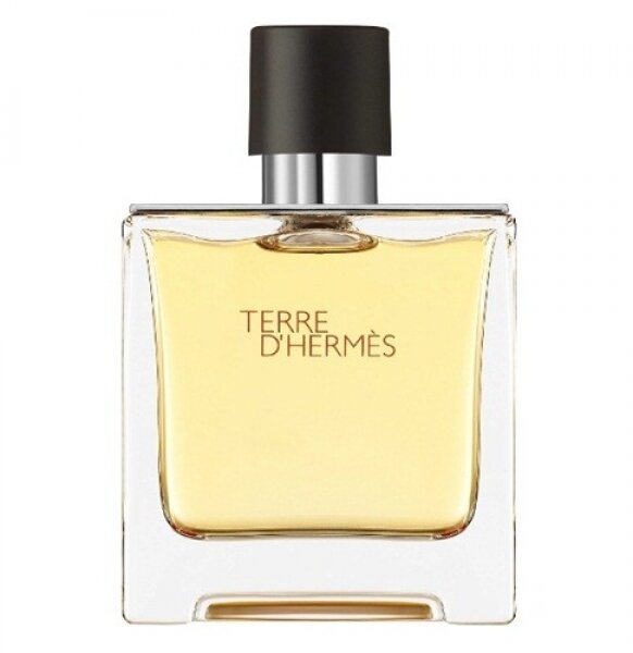 Hermes Terre D'Hermes EDP 200 ml Erkek Parfümü kullananlar yorumlar